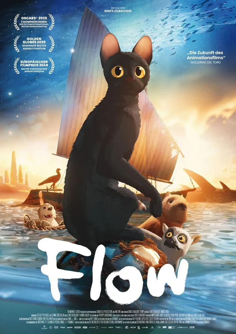 Filmplakat des Films FLOW - SK